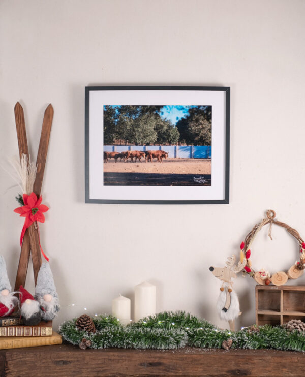 "Campo Charro - Pedraza de Yeltes" (40x50 cm, bord noir)